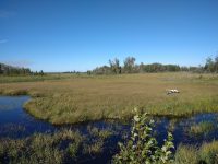 Winter Road Peatland Image